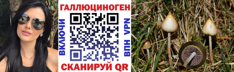 нарко площадка официальный сайт  Трубчевск  Псилоцибиновые грибы Psilocybe 